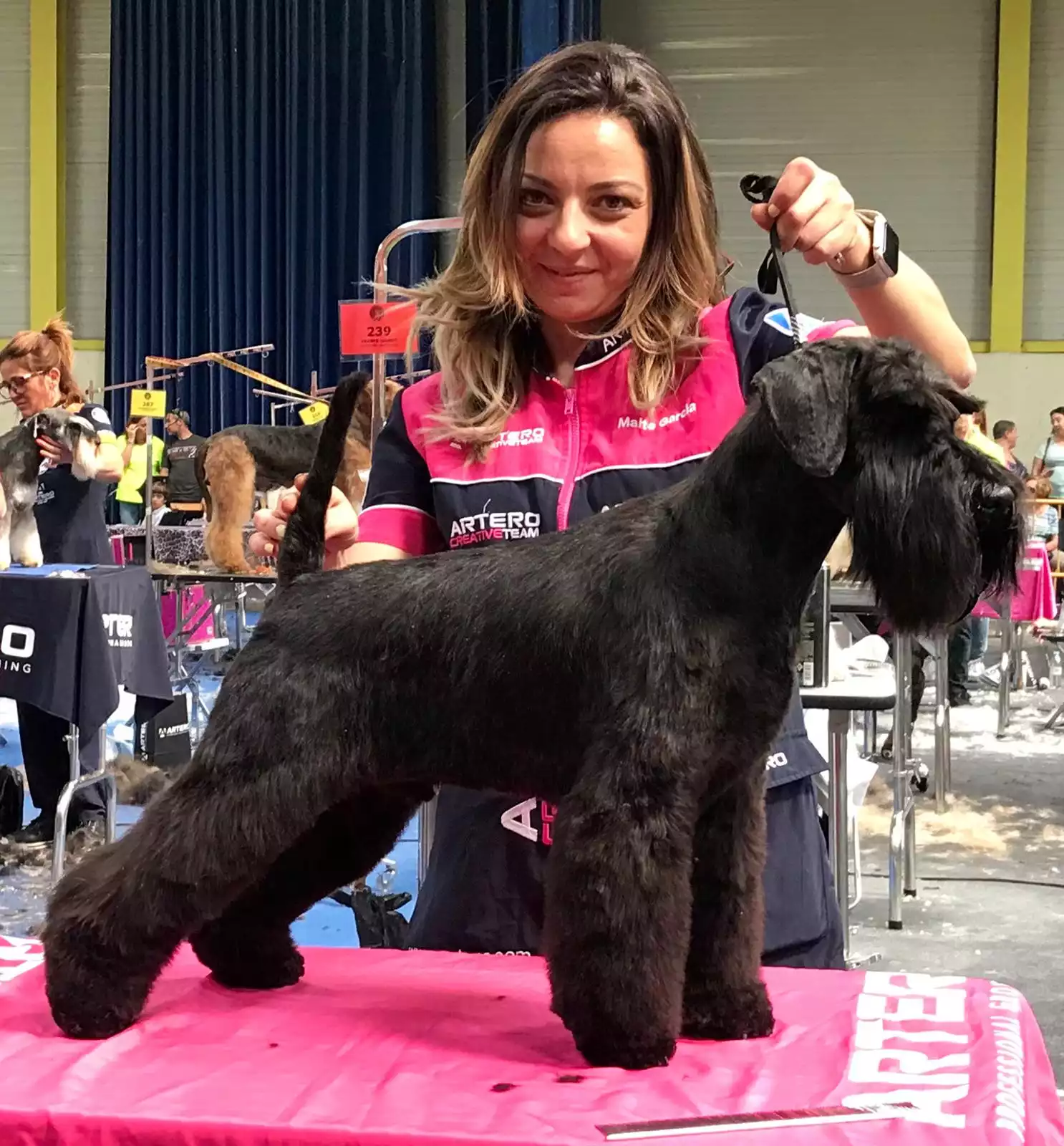 schnauzer mini tecnica stripping